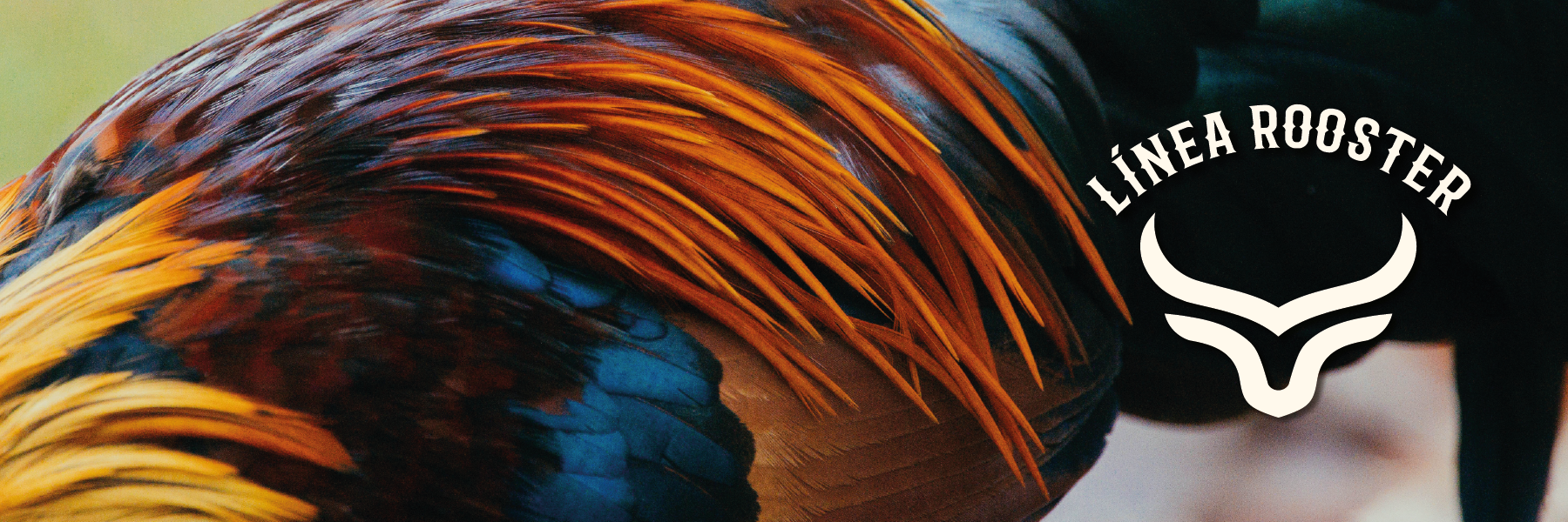 Rooster Ranch & Corral NOT EVERYONE USES THE BEST