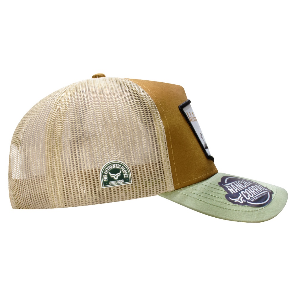 Gorra David Alonso 31