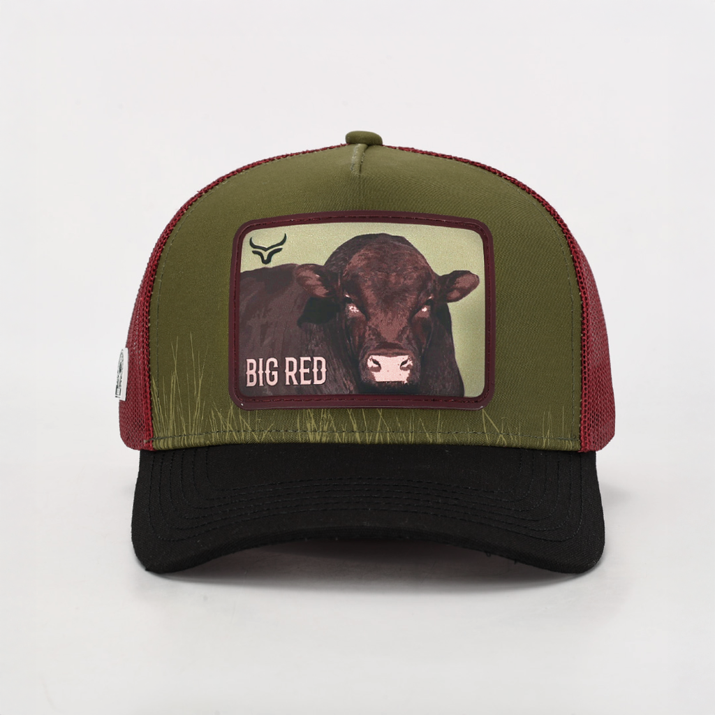 Gorra Edición Especial Ganadera 53