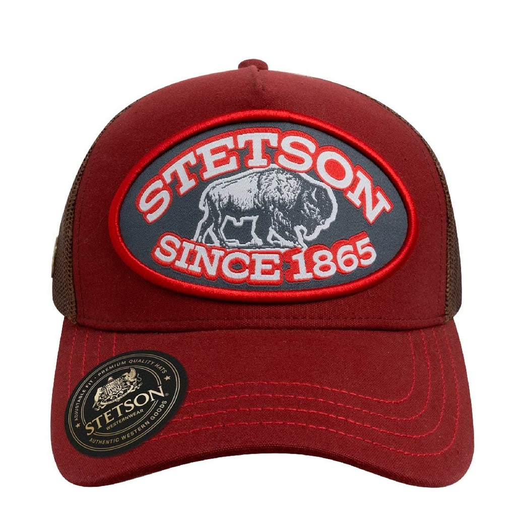 Gorra Stetson 33