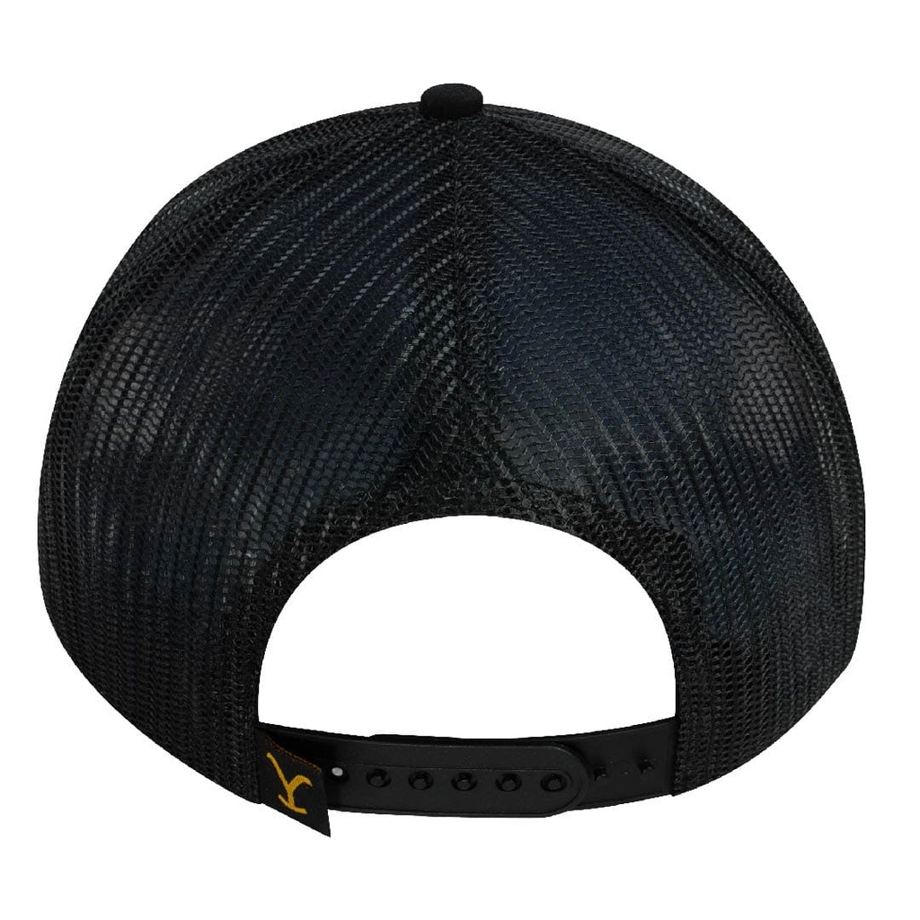 Gorra Yellowstone 25